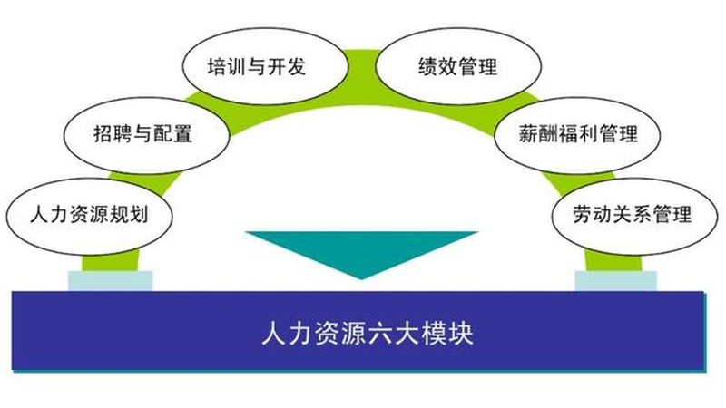 杭州人事代理公司评分高的背后：揭秘人事代理的价值与选择