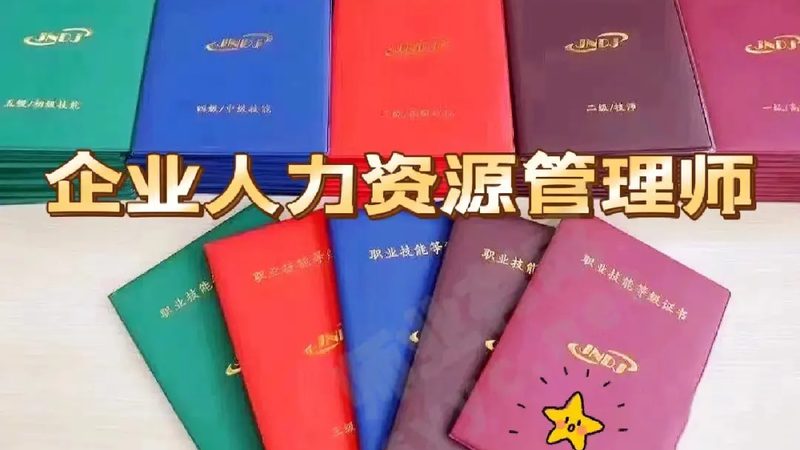 前科记录查询系统通常通过以下步骤实现：