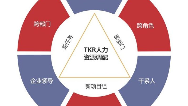 建筑劳务公司：揭秘其主要业务与运营模式